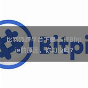 比特派跨平台下载 选择Bitpie的原因，你知道吗？