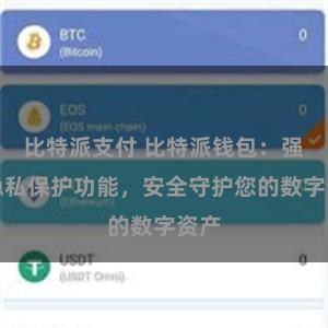 比特派支付 比特派钱包：强大隐私保护功能，安全守护您的数字资产