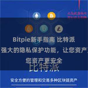 Bitpie新手指南 比特派钱包：强大的隐私保护功能，让您资产更安全