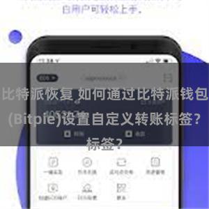 比特派恢复 如何通过比特派钱包(Bitpie)设置自定义转账标签？