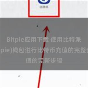 Bitpie应用下载 使用比特派(Bitpie)钱包进行比特币充值的完整步骤