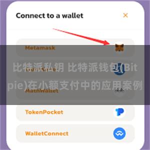 比特派私钥 比特派钱包(Bitpie)在小额支付中的应用案例