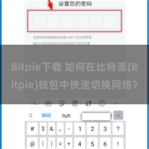 Bitpie下载 如何在比特派(Bitpie)钱包中快速切换网络？