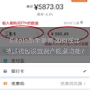Bitpie新手指南 如何在比特派钱包设置资产隐藏功能？