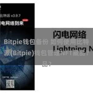 Bitpie钱包备份 如何使用比特派(Bitpie)钱包管理NFT藏品？